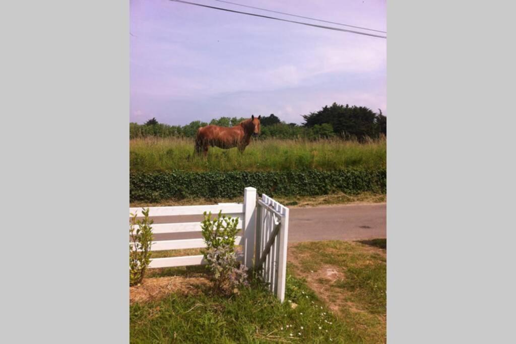 Detached House Near Beaches Esquibien المظهر الخارجي الصورة